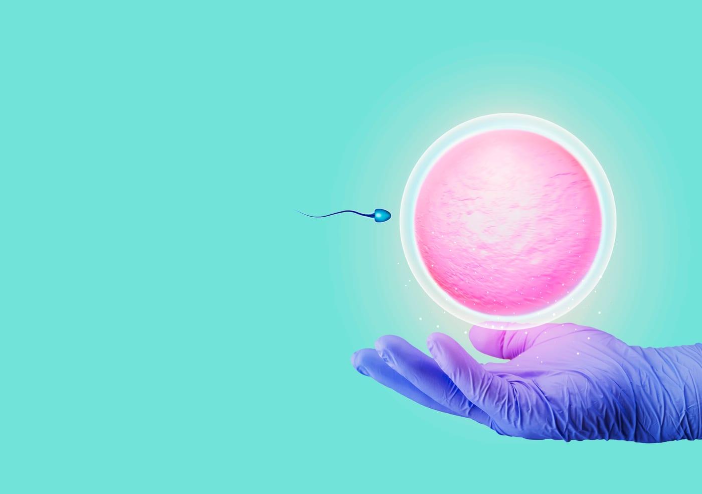 IUI Success: How to Improve Follicular Phase